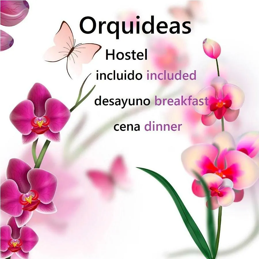 Hostel Hostal Orquideas Cancun