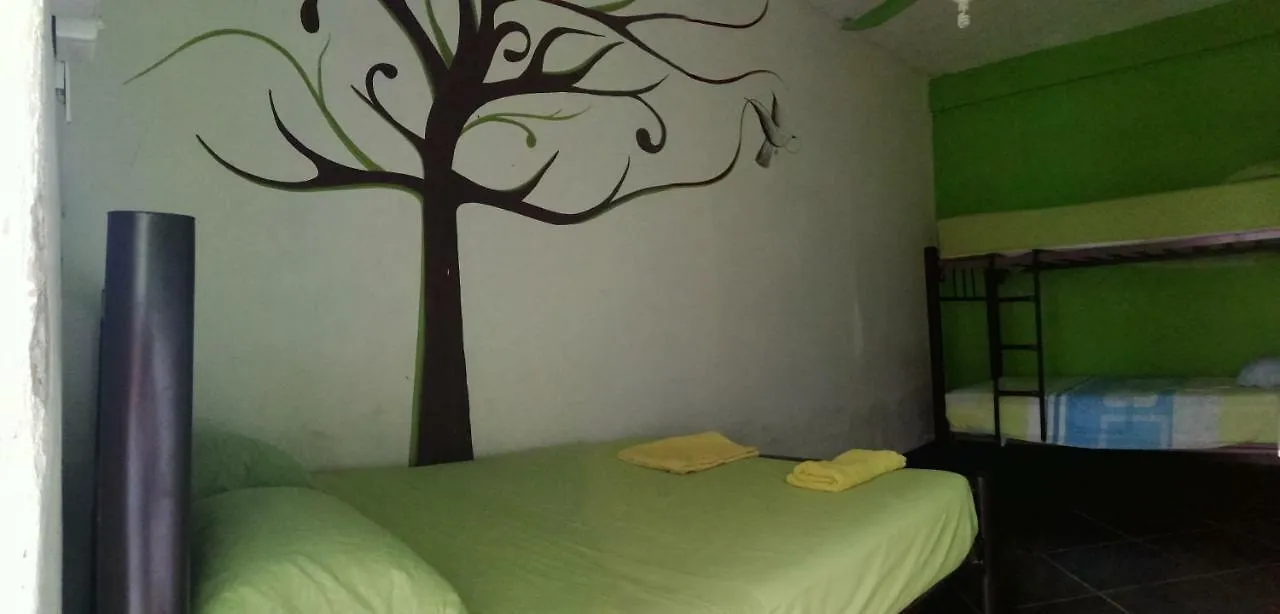 Hostal Orquideas Cancun